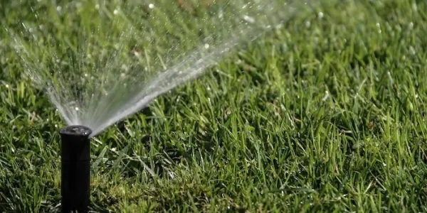 irrigation