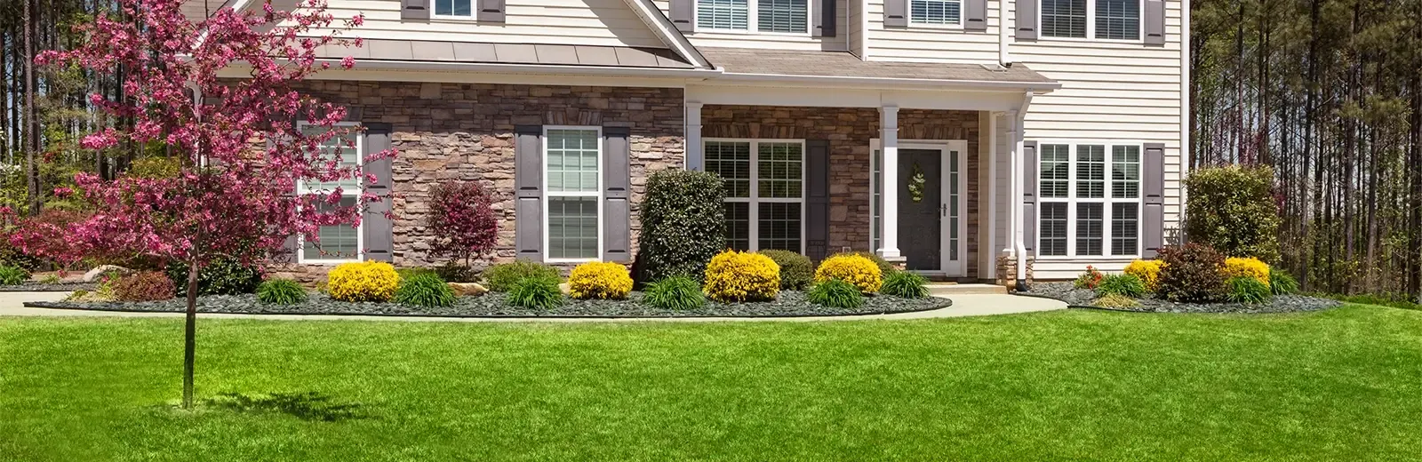 lawn